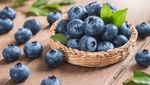 Cocok buat Diet! Ini 9 Buah dengan Kandungan Gula Paling Rendah