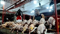 Seorang pedagang ayam potong antusias menunggu pembeli. Harga ayam potong juga mengalami kenaikan dari kisaran Rp 35 ribu per ekor menjadi Rp 45 ribu per ekor. Foto: Andi Audia Faiza Nazli Irfan/detikSulsel