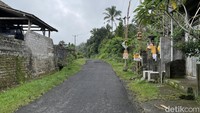 Pada hari ini masyarakat Bali dilarang untuk melakukan aktivitas di luar rumah. (Ni Made Nami Krisnayanti/detikTravel)
