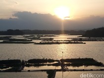 Upwelling, Ikan di Keramba Waduk Cengklik Boyolali Mati Massal