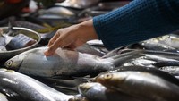 Jumlah ketersediaan ikan dalam kurun waktu itu diperkirakan sebesar 3,10 juta ton dari jumlah permintaan sekitar 2,46 juta ton ikan selama Maret dan April 2024.  