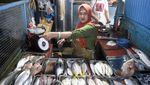 KKP Pastikan Stok Ikan Aman Selama Ramadan