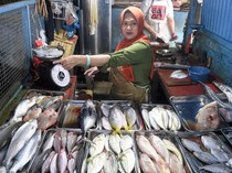 KKP Pastikan Stok Ikan Aman Selama Ramadan