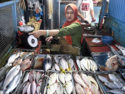 KKP Pastikan Stok Ikan Aman Selama Ramadan