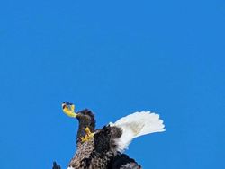 Kocak! Melihat Gaya Absurd dan Konyol Para Hewan Dalam Bidikan Kamera