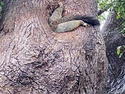 Kocak! Melihat Gaya Absurd dan Konyol Para Hewan Dalam Bidikan Kamera