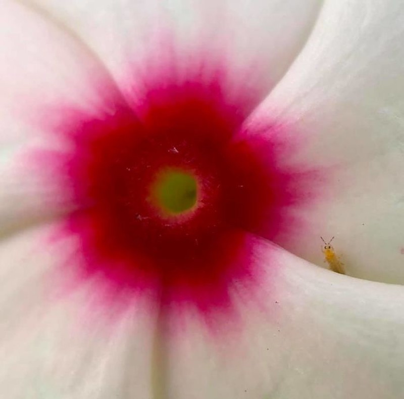 Kocak! Melihat Gaya Absurd dan Konyol Para Hewan Dalam Bidikan Kamera