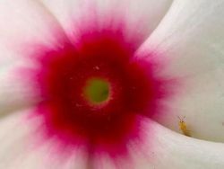 Kocak! Melihat Gaya Absurd dan Konyol Para Hewan Dalam Bidikan Kamera