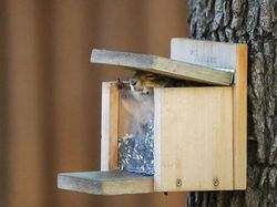 Kocak! Melihat Gaya Absurd dan Konyol Para Hewan Dalam Bidikan Kamera