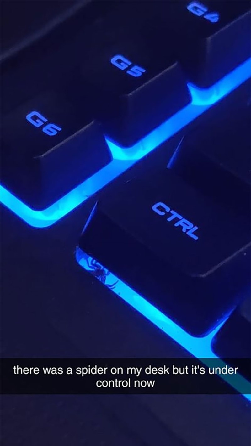 Kocak! Melihat Gaya Absurd dan Konyol Para Hewan Dalam Bidikan Kamera