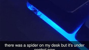 Saya berada di tengah-tengah Zoom ketika melihat hewan ini (Foto: Boredpanda/Crap wildlife photography)