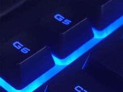 Kocak! Melihat Gaya Absurd dan Konyol Para Hewan Dalam Bidikan Kamera