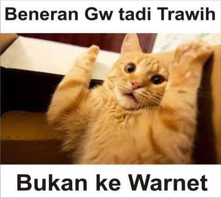kumpulan meme lucu sholat tarawih