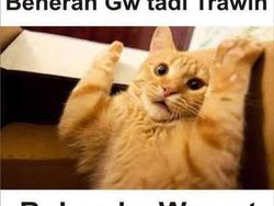 Ramadan Tiba! Kumpulan Meme Kocak Sholat Tarawih Bikin Senyum-senyum
