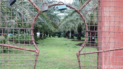10 Foto Keliling Kurma Park Pasuruan Jelang Ramadan