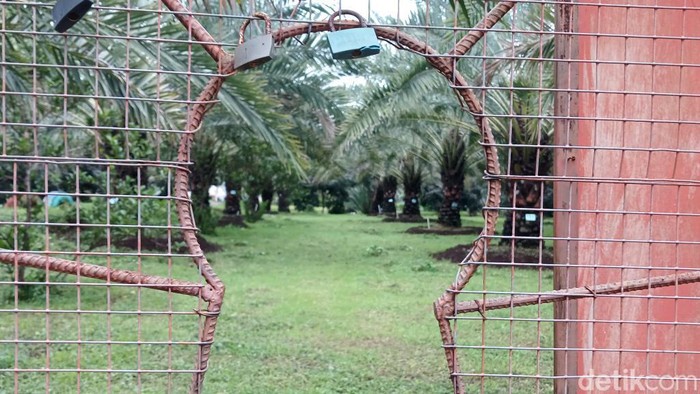Kurma Park Pasuruan Kurma Park Pasuruan sebelumnya bernama Wisata Kebun Kurma.