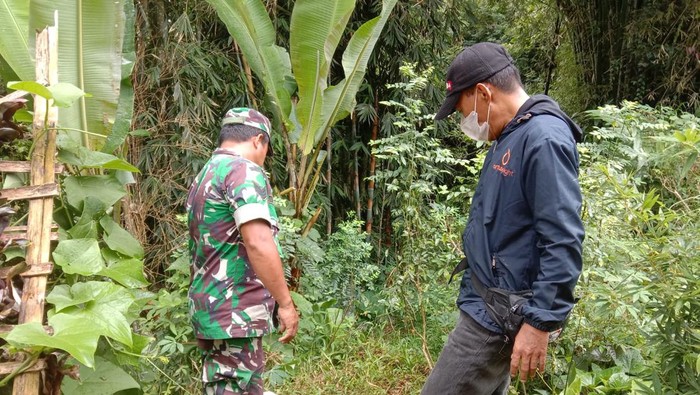 Lokasi penemuan potongan tubuh bayi yang digigit anjing di Toraja Utara, Sulsel.