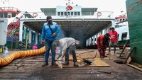 Ditutupnya layanan penyeberangan pelabuhan Ketapang-Gilimanuk dimanfaatkan sejumlah operator kapal untuk memperbaiki kapalnya.