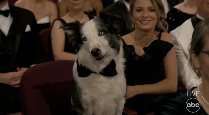 Oscar 2024