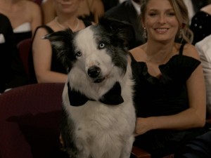 Top! Kilas Balik 5 Momen Terfenomenal Oscar 2024