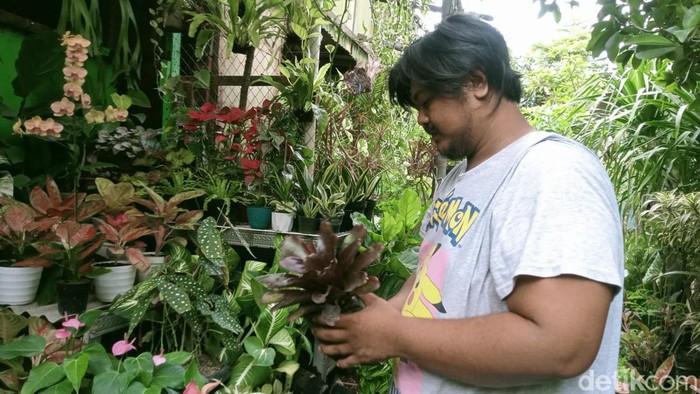 Pasar Bunga Bratang Surabaya