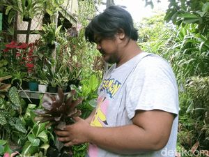 Beli Tanaman Hias di Pasar Bunga Surabaya Kini Bisa Pakai QRIS