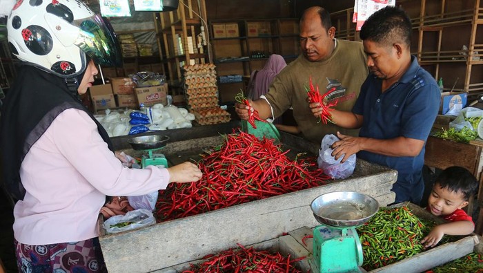 Pembeli memilih cabai merah di Pasar Bina Usaha, Meulaboh, Aceh Barat, Aceh, Senin (11/3/2024). Pemerintah Kabupaten Aceh Barat melalui Dinas Pangan memberikan subsidi harga pangan khusus cabai merah dan cabai kecil sebesar Rp20.000 per kilogram dari sebelumnya Rp80.000 per kg menjadi Rp60.000 per kg dengan tujuan untuk menstabilkan harga cabai sekaligus untuk meningkatkan daya beli masyarakat. ANTARA FOTO/Syifa Yulinnas/aww.