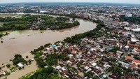 Banjir akibat luapan sungai terpanjang di Pulau Jawa itu merendam rumah dan lahan pertanian.