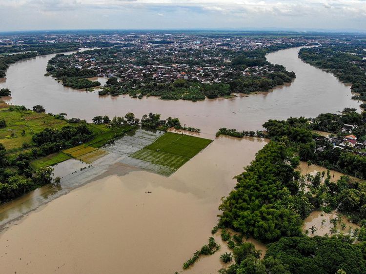 Penampakan dari Udara Banjir Akibat Luapan Sungai Bengawan Solo