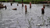 Ketinggian genangan banjir di TPU Semper tampak bervariasi. 