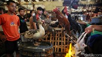 Kios ayam juga ramai pembeli. Di pasar ini, ayam potong dijual Rp 60 ribu/ekor. Sementara untuk ayam kampung Rp 170 ribu/ekor.  