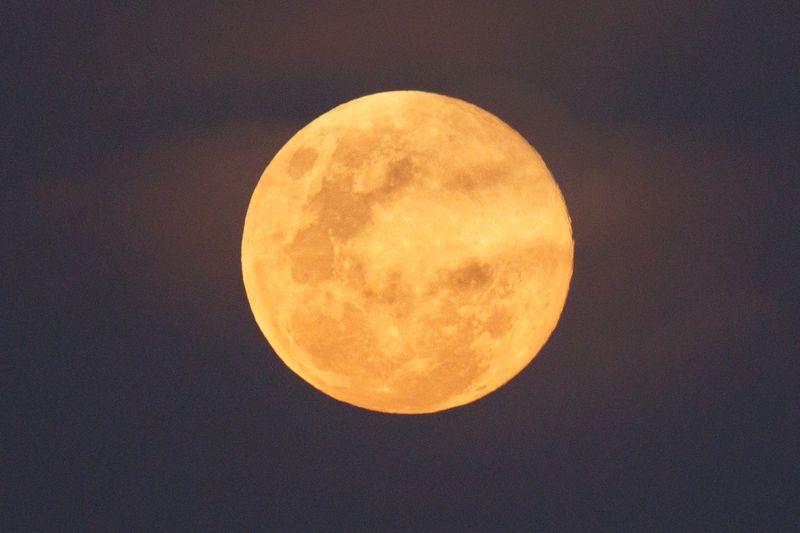 Review Lensa Canon RF 100-400mm
