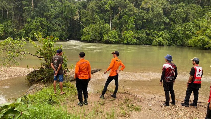 Tim SAR gabungan cari lansia hilang di hutan Morowali Utara. Dokumen Istimewa