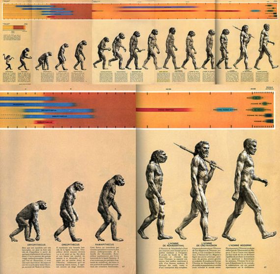 Gambar yang Disangka Teori Evolusi Padahal Salah Paham yaitu perbandingan kerangka kera dan manusia karya Thomas Henry Huxley (1863) dan The Road to Homo sapiens karya Rudolph Zallinger (1965)