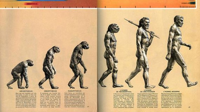 Gambar yang Disangka Teori Evolusi Padahal Salah Paham yaitu perbandingan kerangka kera dan manusia karya Thomas Henry Huxley (1863) dan The Road to Homo sapiens karya Rudolph Zallinger (1965)