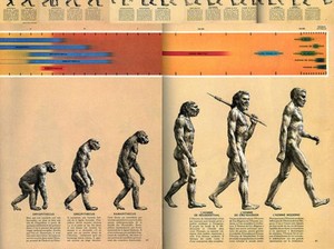 3 Gambar Ini Bikin Salah Paham Soal Teori Evolusi Darwin