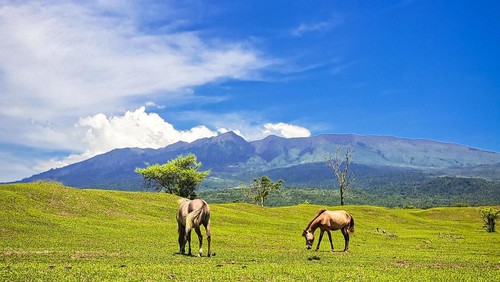 Gunung Tambora, NTB. (Istimewa)