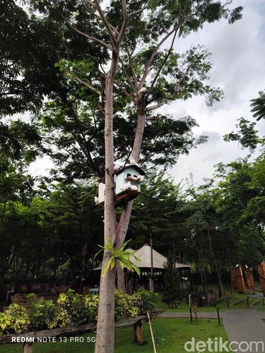 Hasil foto Redmi Note 13 Pro 5G