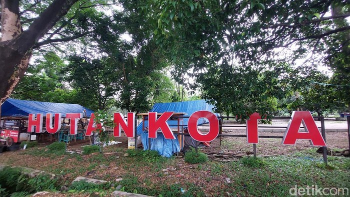 Hutan Kota Sumber di Kabupaten Cirebon.