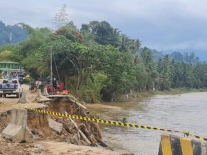 Menteri Basuki Curiga Pembalakan Liar Biang Kerok Banjir di Sumbar
