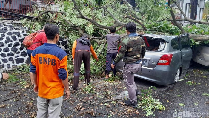 Mobil tertimpa pohon di Semarang, Selasa (12/3/2024).