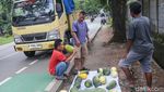 Pedagang Timun Suri Musiman Bermunculan Saat Ramadan