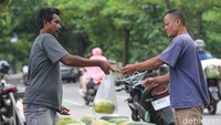 Namun saat memasuki minggu ke-3 puasa, biasanya harga timun suri mulai turun.