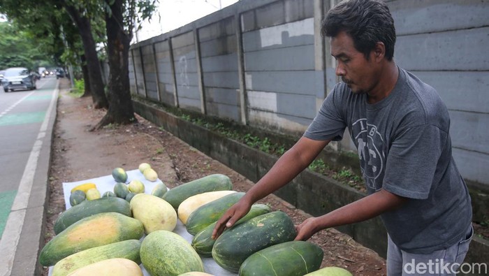 Pedagang Timun Suri Musiman Bermunculan Saat Ramadan Olib, pedagang timun suri musiman tengah menjual timun suri kepada pelanggannya di kawasan Poris, Kota Tangerang, Selasa (12/3/2024). Sejak 4 tahun terakhir, saat memasuki bulan Ramadan Olib pasti menjual timun suri ditempat ini.