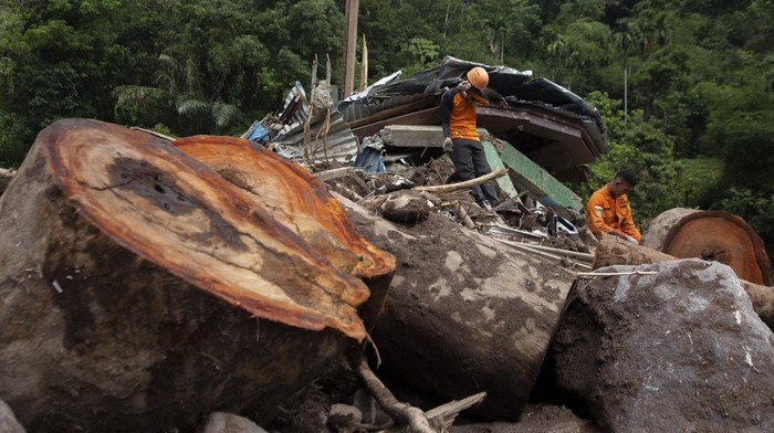 Petugas dari Basarnas melakukan pencarian korban longsor di Langgai, Gantiang Mudiak Utara Surantiah, Kecamatan Sutera, Pesisir Selatan, Sumatera Barat, Selasa (12/4/2024). Menurut data Kantor Pencarian dan Pertolongan (SAR) Padang, Sumatra Barat, sebanyak enam korban yang terdiri dari dua korban di Tarusan, tiga di Linggai dan satu di Sungai Batang Bayang masih dalam tahap pencarian. ANTARA FOTO/Givo Alputra/Lmo/Spt.