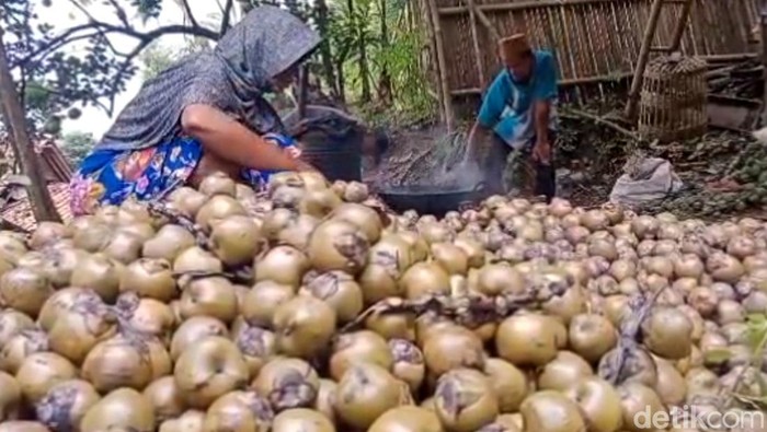 Produksi kolang-kaling di Desa Ciberung, Kecamatan Ajibarang, Kabupaten Banyumas mengalami peningkatan untuk memenuhi pasar di bulan ramadan, Selasa (12/3/2024)