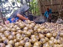 Banjir Pesanan, Penjual Kolang-kaling di Banyumas Beromzet hingga Rp 3 Juta