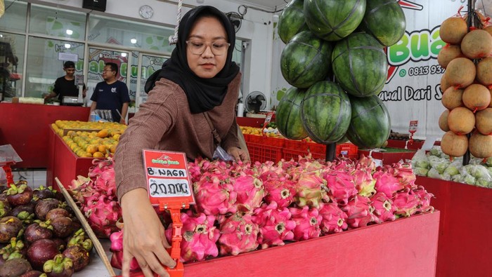 Seorang pembeli memilih buah naga yang dijual di kawasan Jalan Gajah Raya, Semarang, Jawa Tengah, Selasa (12/3/2024). Menurut pedagang, saat memasuki bukan suci Ramadhan 1445 Hijriah permintaan berbagai macam jenis buah mengalami peningkatan sebanyak 80 persen dibandingkan bulan biasanya karena banyak dicari untuk kebutuhan olahan menu makanan dan minuman untuk berbuka puasa. ANTARA FOTO/Makna Zaezar/aww.