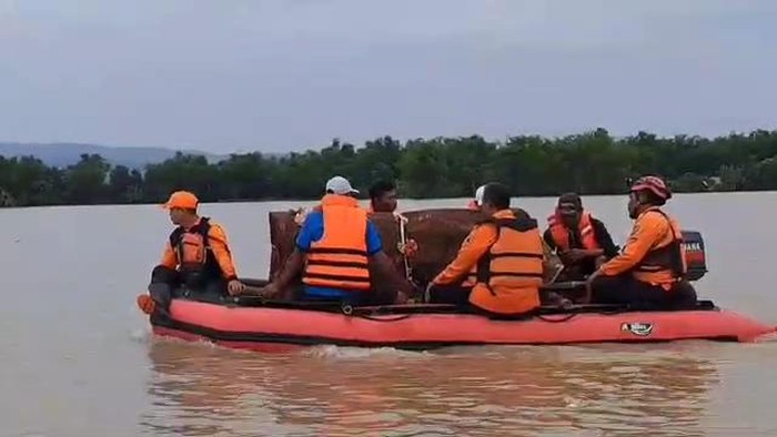 Petugas BPBD Tuban mengevakuasi jenazah warga yang hendak dimakamkan