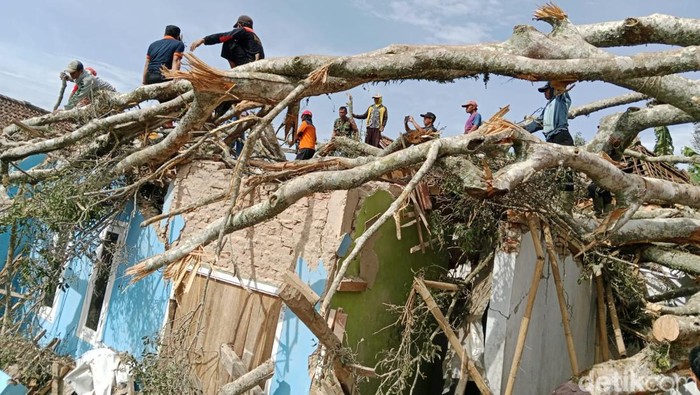 Pohon beringin tumbang timpa rumah warga di Kuningan.